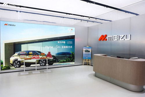 預(yù)售即破萬！魅族新店揭秘那些人氣爆棚的車型